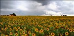 Al cielo de tormenta